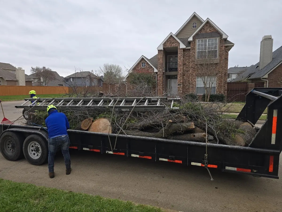 Expert Tree Fertilization with proper safety equipment in Oakhurst